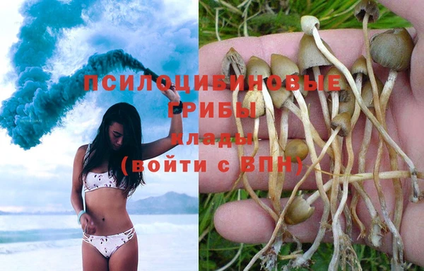 прущая мука Арсеньев