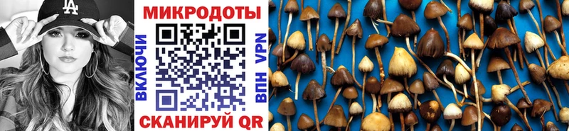 Галлюциногенные грибы Psilocybine cubensis как найти Артёмовский
